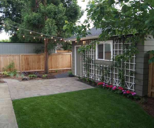 Grass and Turf