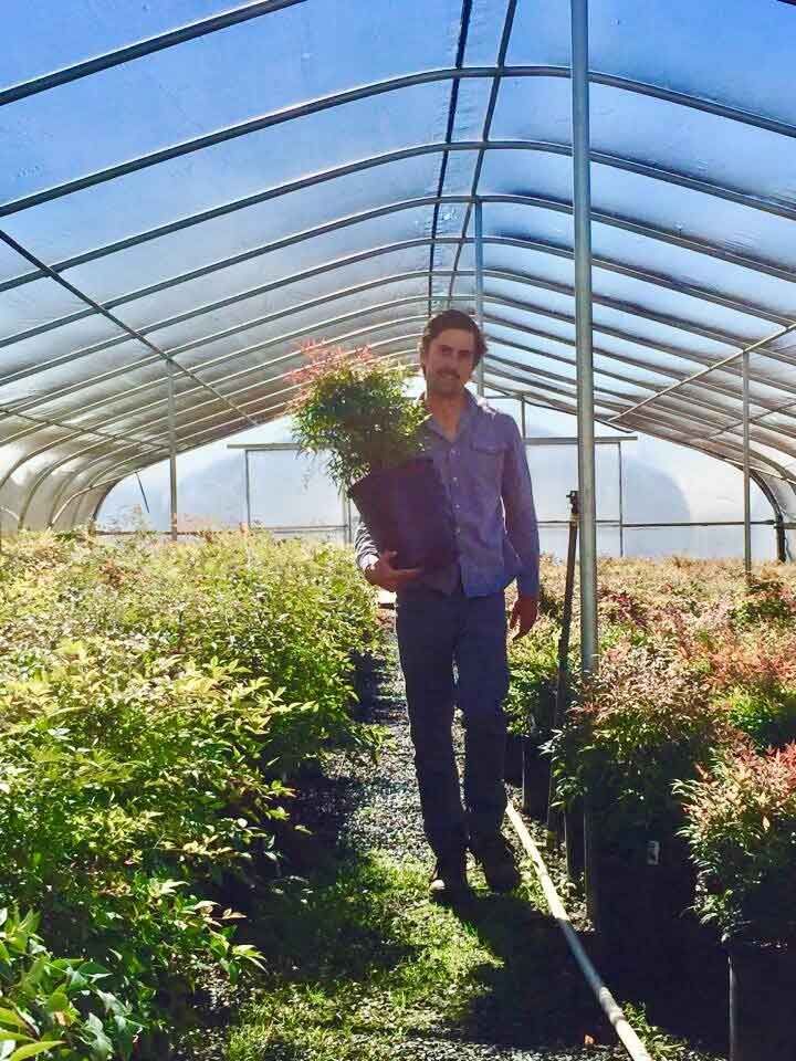 Matt Bowman Founder of Sage Landscapes
